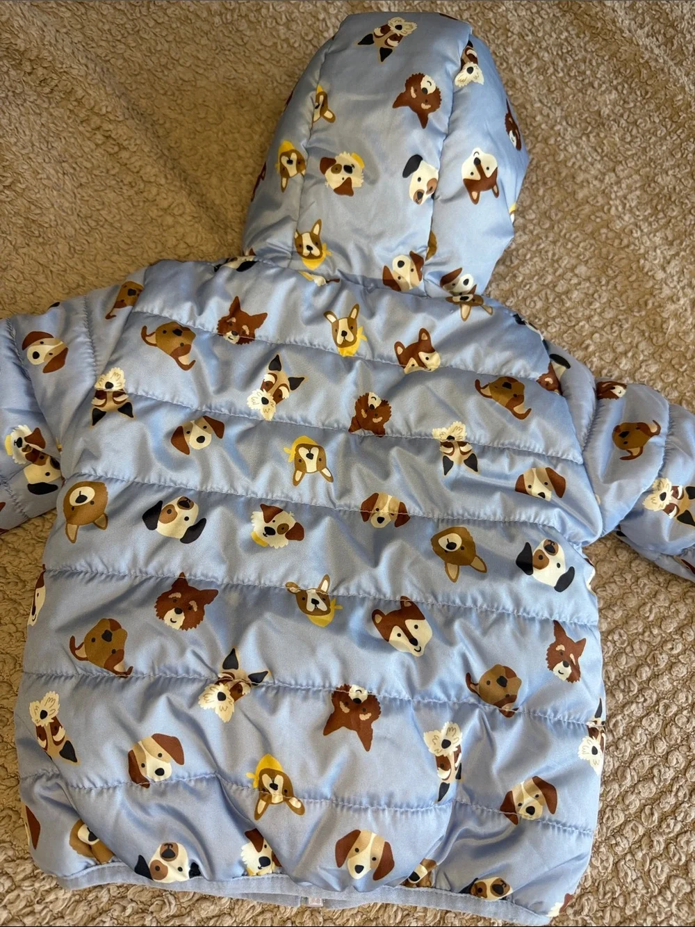 Cute Dog Print Puffer Jacket